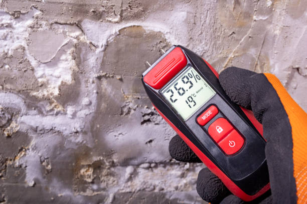 Best Bathroom Mold Remediation in Concordia, NJ