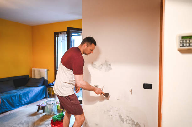 Best Commercial Mold Remediation in Concordia, NJ